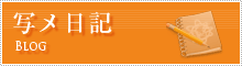 写メ日記